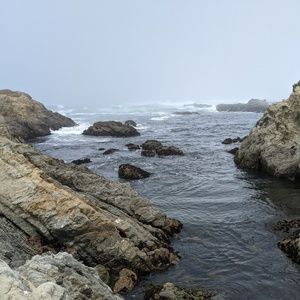 Meet your Posher, Maurie